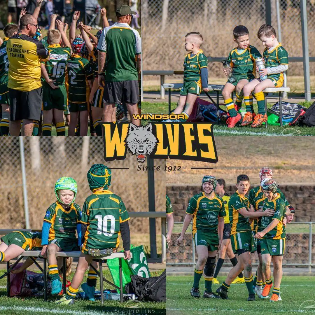 windsorwolves